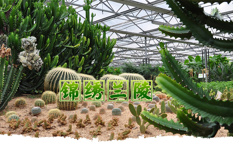 维盟智慧景区WIFI助力兰陵打造国家级农业示范园 