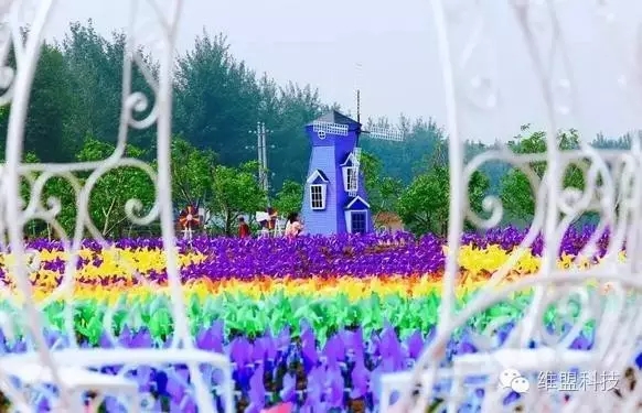 与世界分享旅途的乐趣，WayOS助力普罗旺斯观光园搭建WiFi 