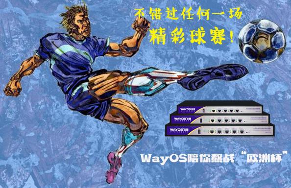 这个夏天，维盟智能路由陪你熬战欧洲杯
