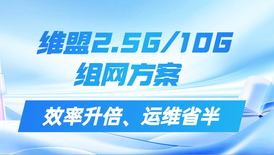 维盟 2.5G/10G 组网方案：花小钱办大事，效率升倍、运维省半